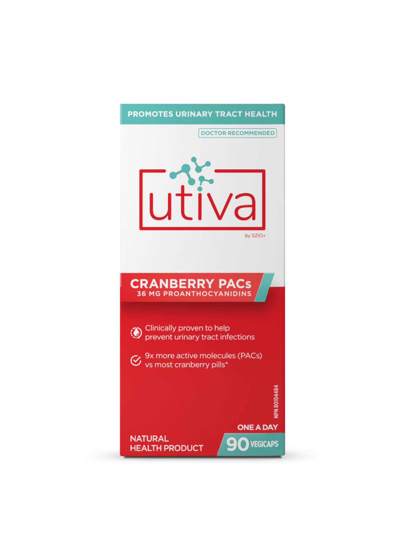 Best Cranberry Supplement For Uti