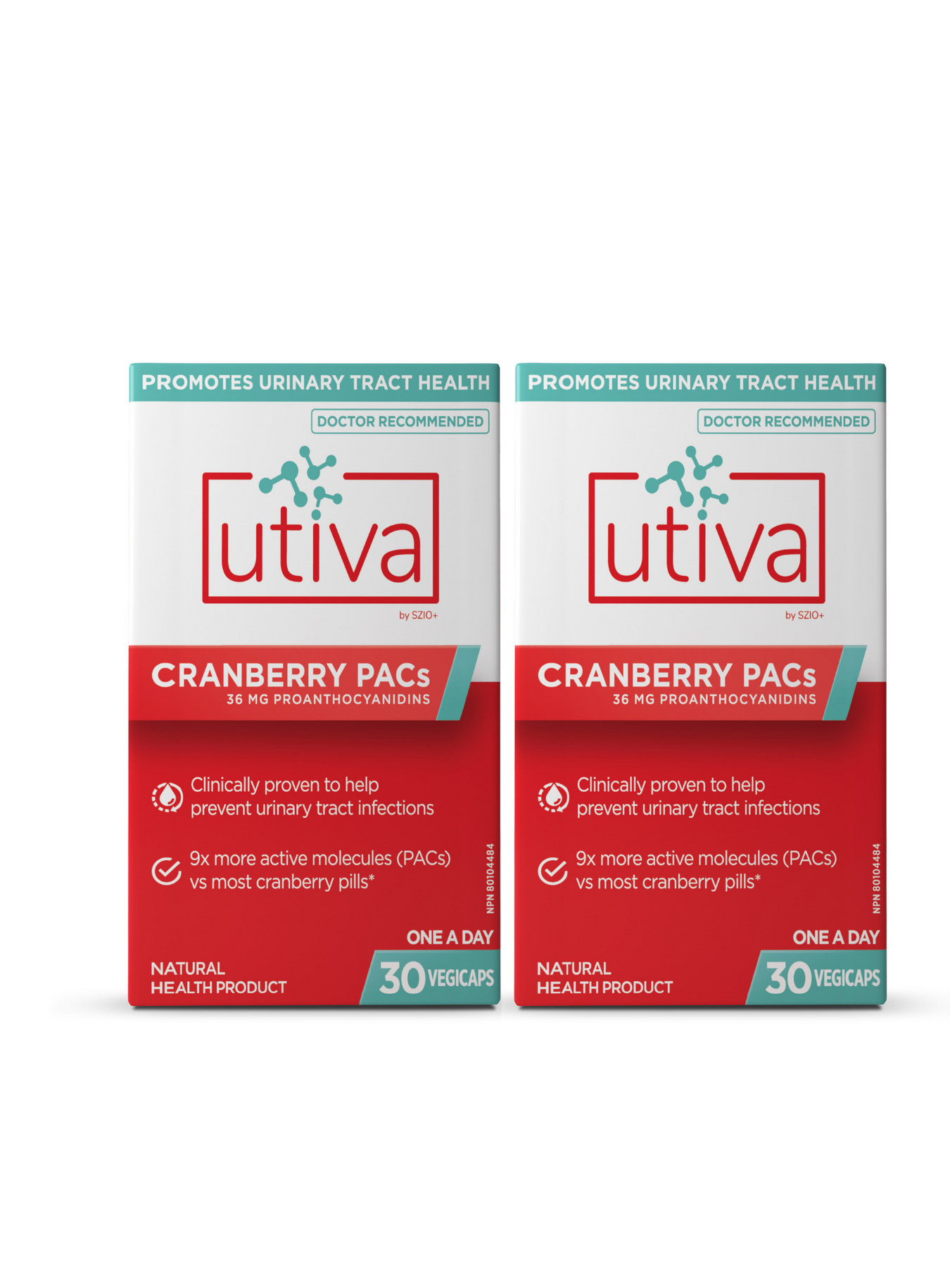 Cranberry Supplement For Uti